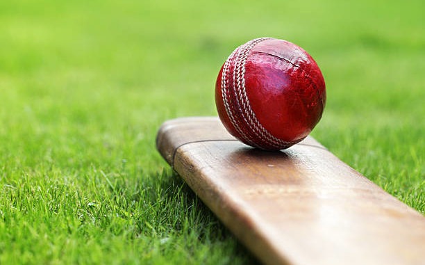 Cricket ball resting on a cricket bat on green grass of cricket pitch