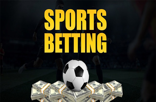 5 Best Books to Start Betting | ConfirmBets